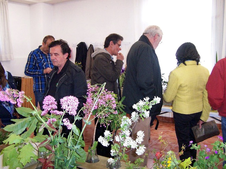 Exposición Botánica 2016_32.JPG